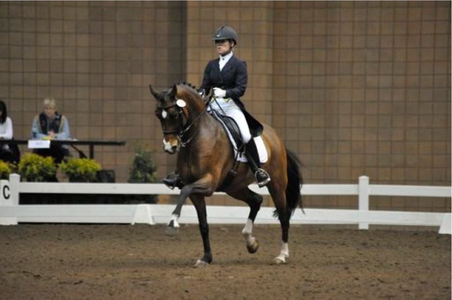 Melissa is a USDF FEI certified instructor and a USDF bronze, silver and gold medalist