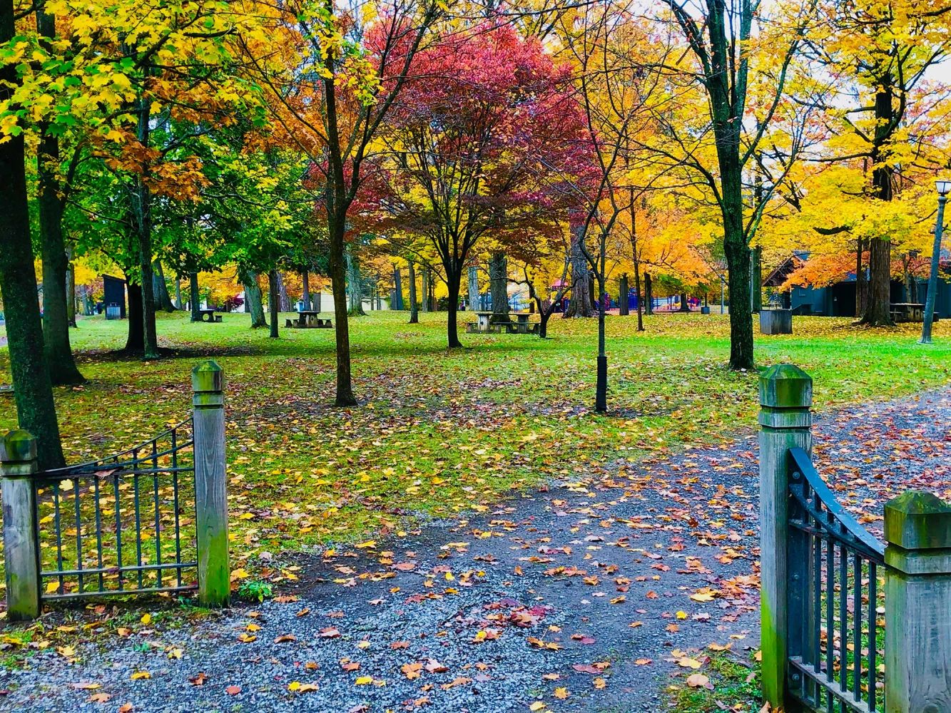 Hamlin Park in the heart of East Aurora.