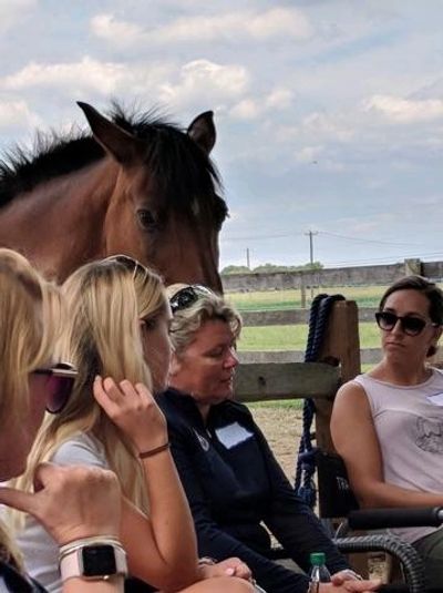 With the Insight Equine Therapy team practitioners help their clients try on new perspectives.