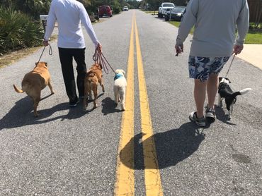 Two Man Walking Four Dogs Down a Street