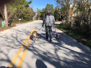 A Man Walking Two Dogs Down a Street