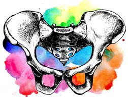 Pelvic Floor Dysfunction. Pelvic Floor Physical Therapy. Women's Health Physical Therapy. Pelvis.
