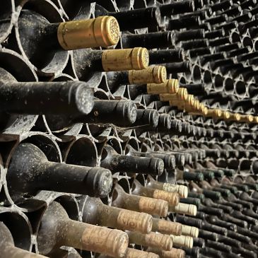 Botellas de vino almacenadas en una bodega.
