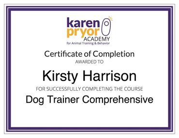 Dog Trainer