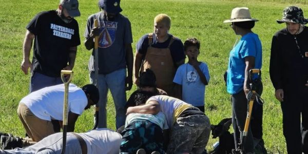 A group of people gathered outdoors around a spot on the ground.