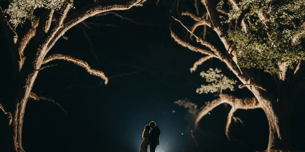 Bride & groom silhouette at night in oak alley at Oak Hill Farm outdoor wedding venue in Louisiana
