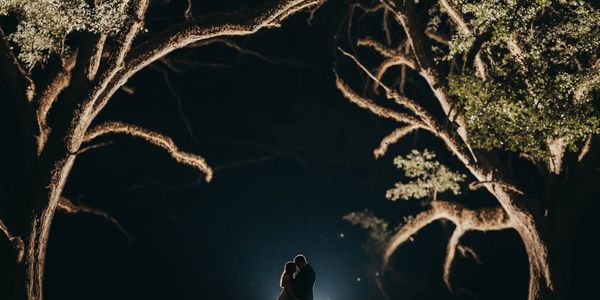 Bride and groom silhouette at night in oak alley at Oak Hill Farm wedding venue in Louisiana