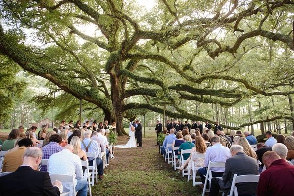 Intimate spring wedding ceremony under live oaks at Oak Hill Farm outdoor venue in Louisiana