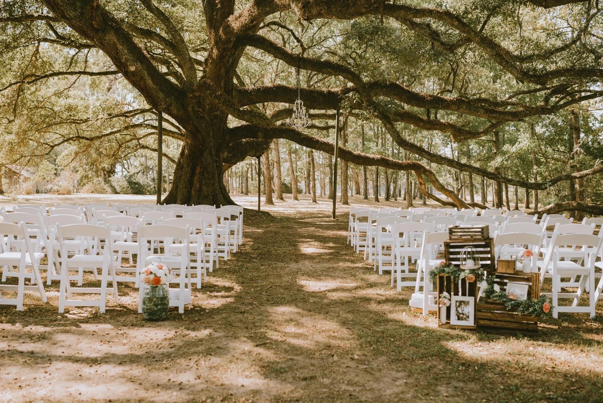 Wedding venues in louisiana 60 photos Astyledwedding com