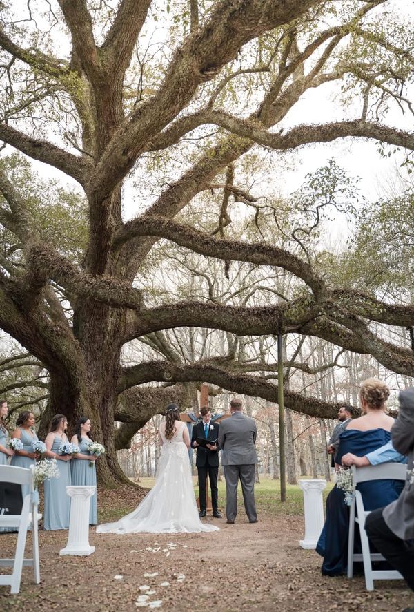 Outdoor wedding under majestic Live Oak tree at Oak Hill Farm, Kentwood Louisiana