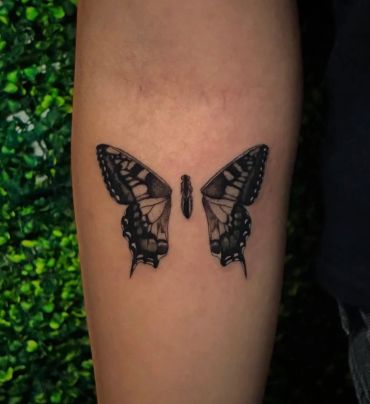 Realistic butterfly tattoo split on the arm.