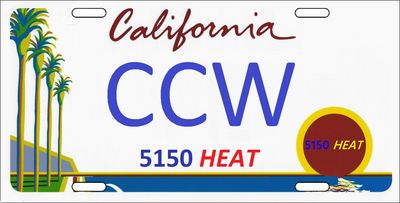 Concealed Carry CCW LTC Initial 1st time class Calif SB-2 Two-Nights Mid-Week All Day Saturday OCSD