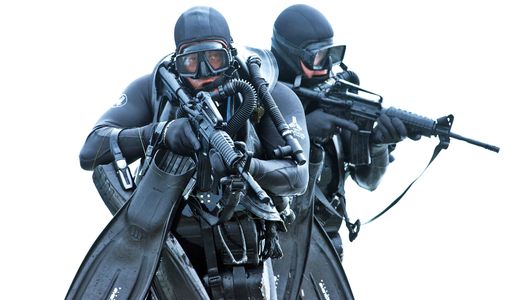 seal shooting skills safety habits
grip stance sight-picture breath trigger control follow-through