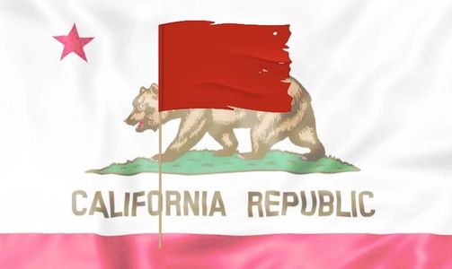 California Red Flag Gun Law 2nd Amendment Constitutional Right stripped citizens without due process