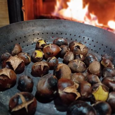 Premium roasting chestnuts from Michigan