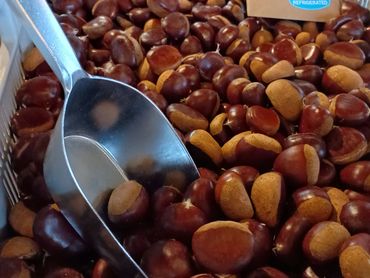North Star Chestnuts ready for roasting