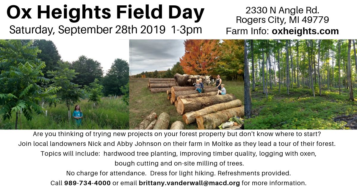 Visit Ox Heights Farm