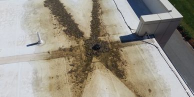 LeMessurier, Building Envelope Specialists, WJE, Turner Consulting, Building Investigation