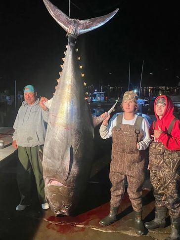 Three people posing for a picture with the large fish
