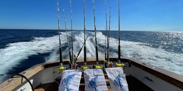 A picture of the fishing gears on the table