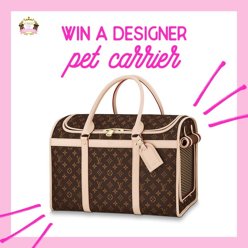 Win a stylish designer pet carrier with a luxurious monogram print.