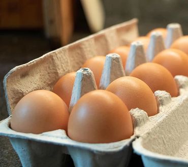 Fox Hill Farm Fresh eggs, cage free & free range