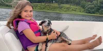 Dog training Massachusetts fir all breeds