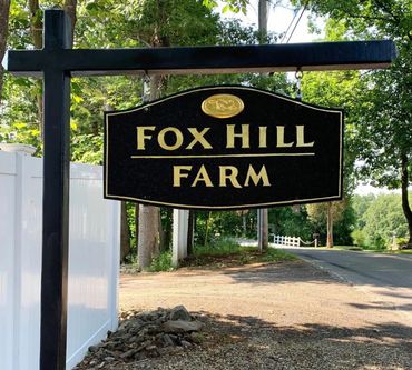 Dog Training Massachusetts Day School, Board & Train, Private Lessons, Service Dogs