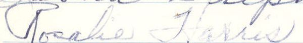 Close-up of cursive handwriting on paper.