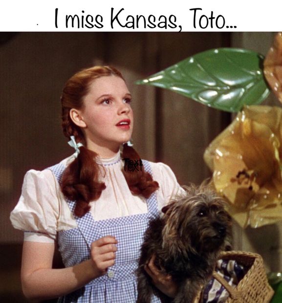 ...Chicago, Boston, The Ohio Players, The Bay City Rollers, Orleans, The Atlanta Rhythm Section, and