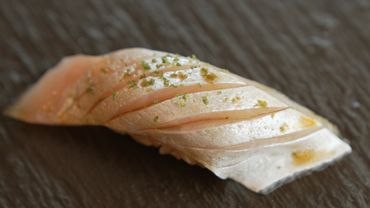 Shima Aji - Stripe Jack