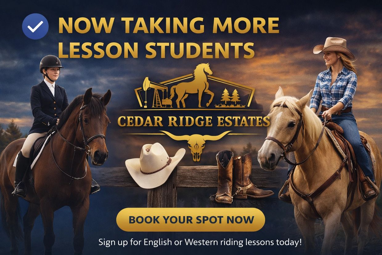 Advertisement for horseback riding lessons at Cedar Ridge Estates.