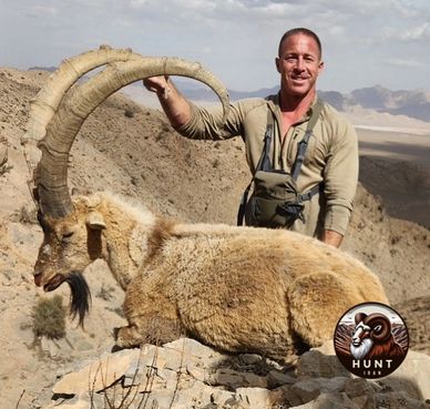 Persian desert ibex hunted by Hunt Iran