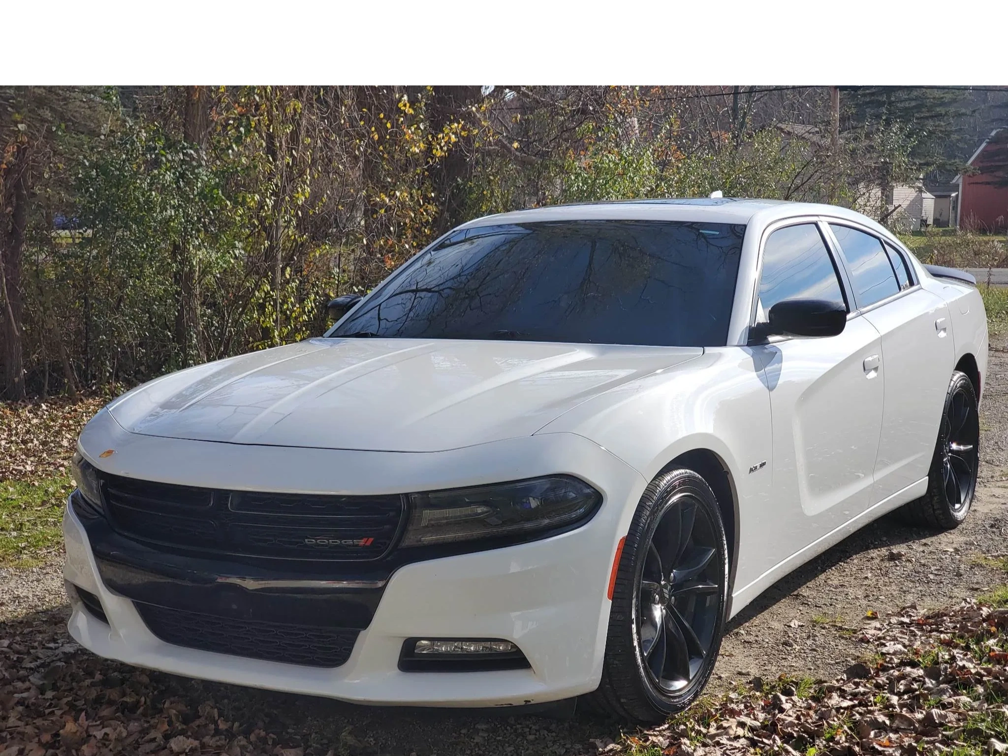 Allen Hill's 2017 Dodge Charger RT