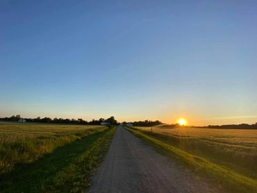 beautiful sunset over fields and farm for sale in Red Lake Falls MN