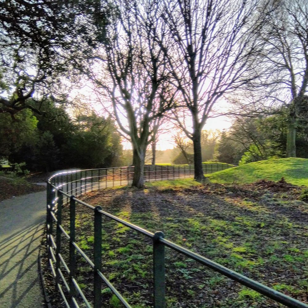 Sunlight filters through leafless trees along a winding park path with a metal fence.