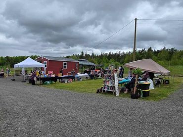 Outdoor market with stalls under cloudy sky in a rural setting.