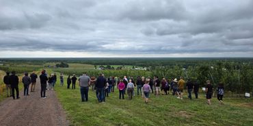 A group of people walking through an orchard under a cloudy sky.