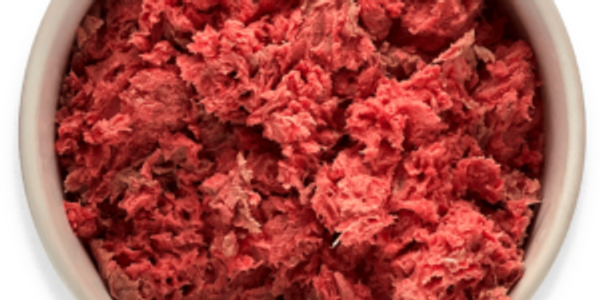 raw dog food in dog bowl