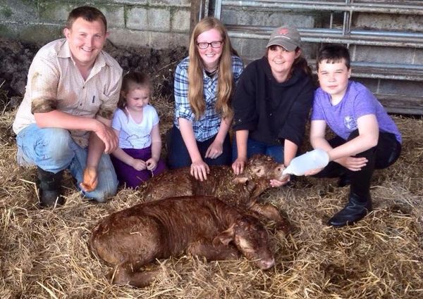 twin calves Ant and Dec with the farm team