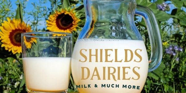 milk jug with glass with a sunflower field in the background