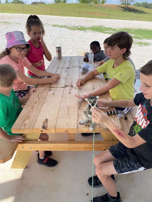 Children sitting around a wooden picnic table interacting with a small lemur.