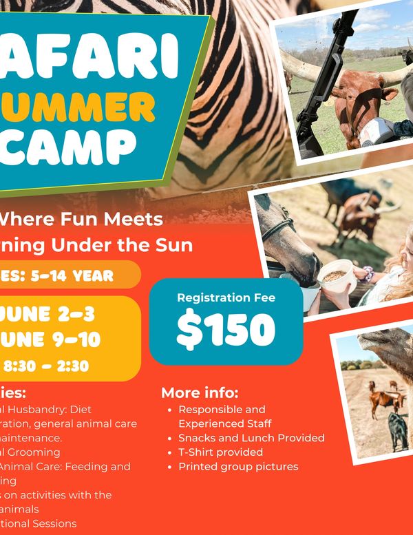 Safari Summer Camp for kids 5-14 with animal care activities and fun learning.