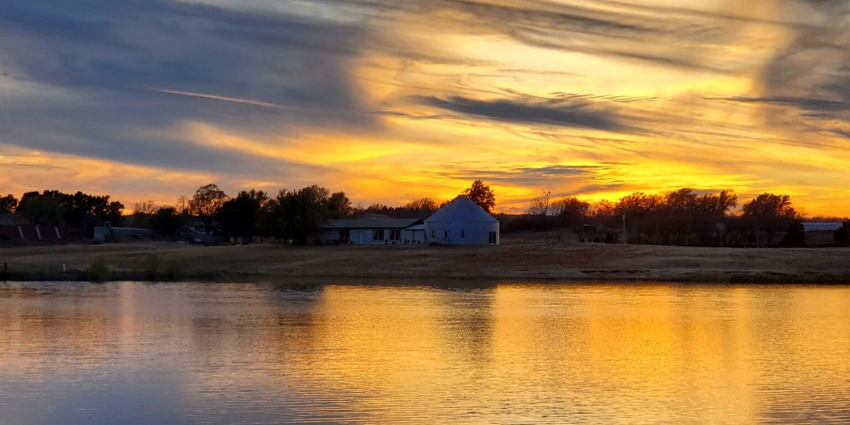 A serene sunset over a calm lake with silhouetted trees and buildings. fried fish all you can eat buffet restaurant