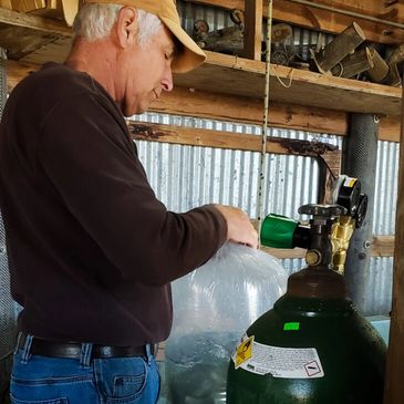 Man handling a large plastic bag near a green gas cylinder in a fish house at an Oklahoma fish farm near me.
