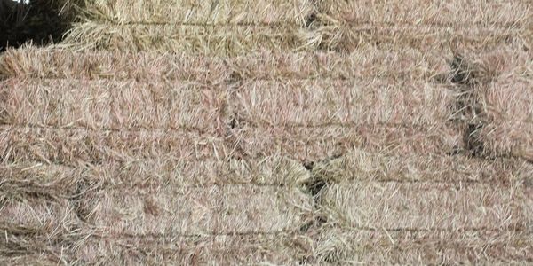 Stacked bales of hay inside a barn with wooden beams.