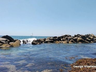 Venice Beach, California.