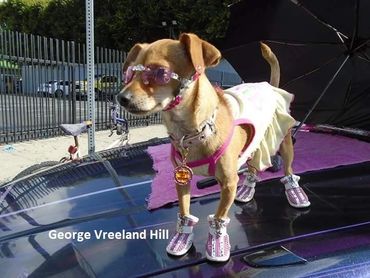 Venice Beach, California.