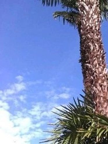 Roxbury Park in Beverly Hills, California.