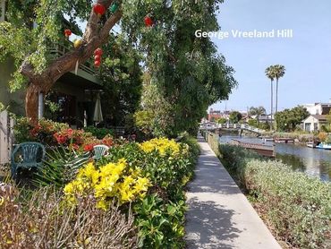The Venice Canals in Venice, California.